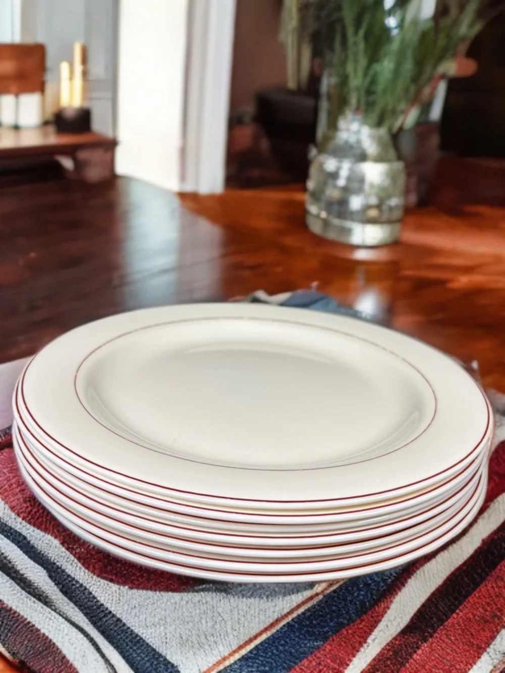 Arcopal Bordeaux wide rim dinner plates set of 7